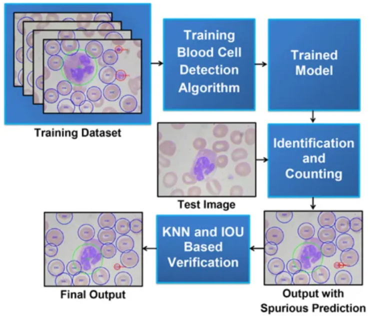 Automatic Identification and Counting of Blood Cells